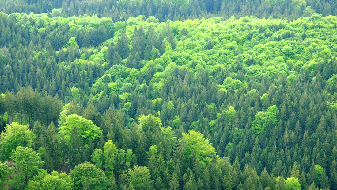 🌍 Choose sustainability! Modal fabric production requires less water and energy compared to cotton, making it an eco-friendly option. 🌳